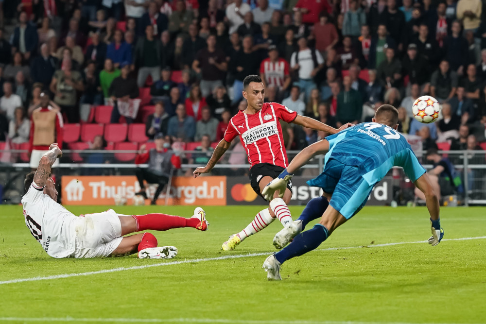 自由和包容 自由和包容